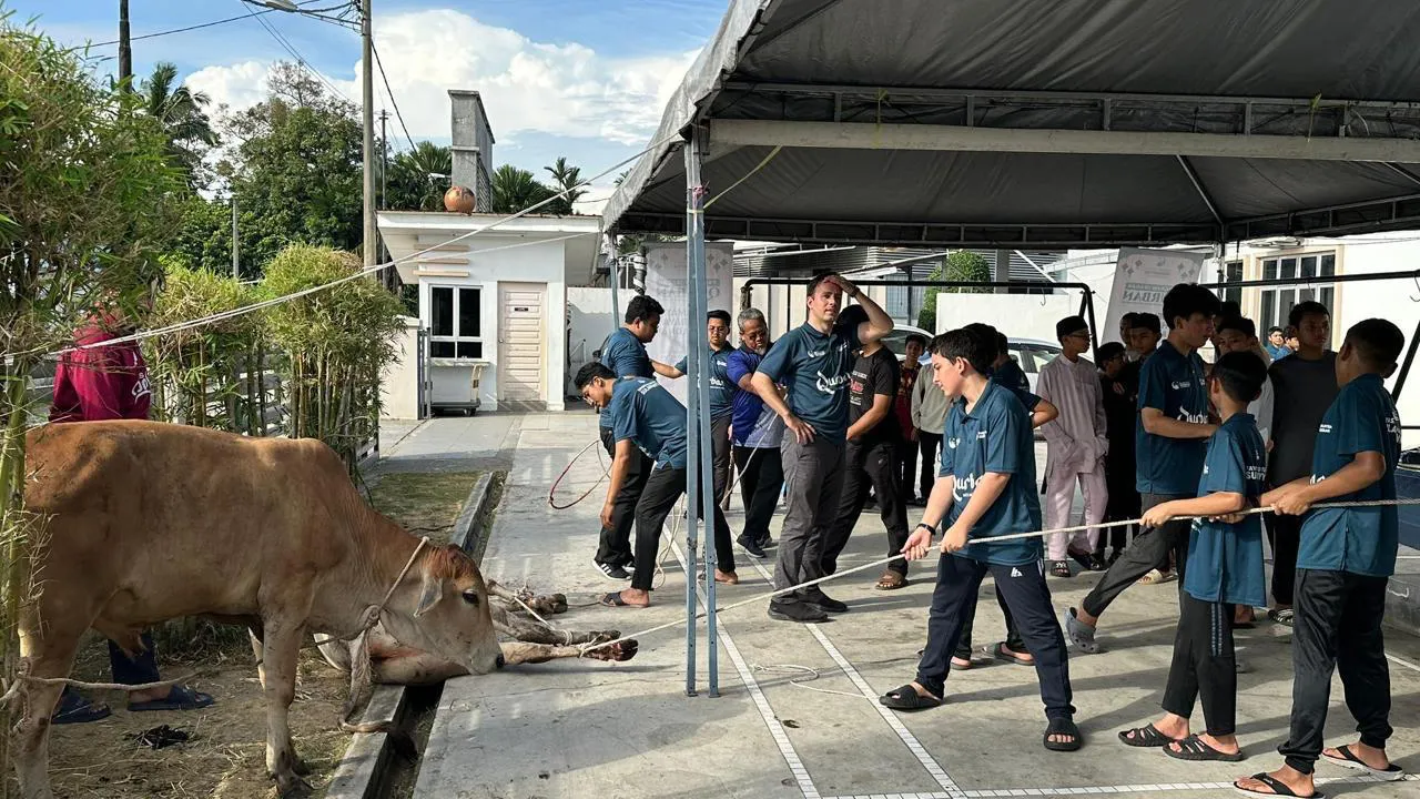Program Qurban 2